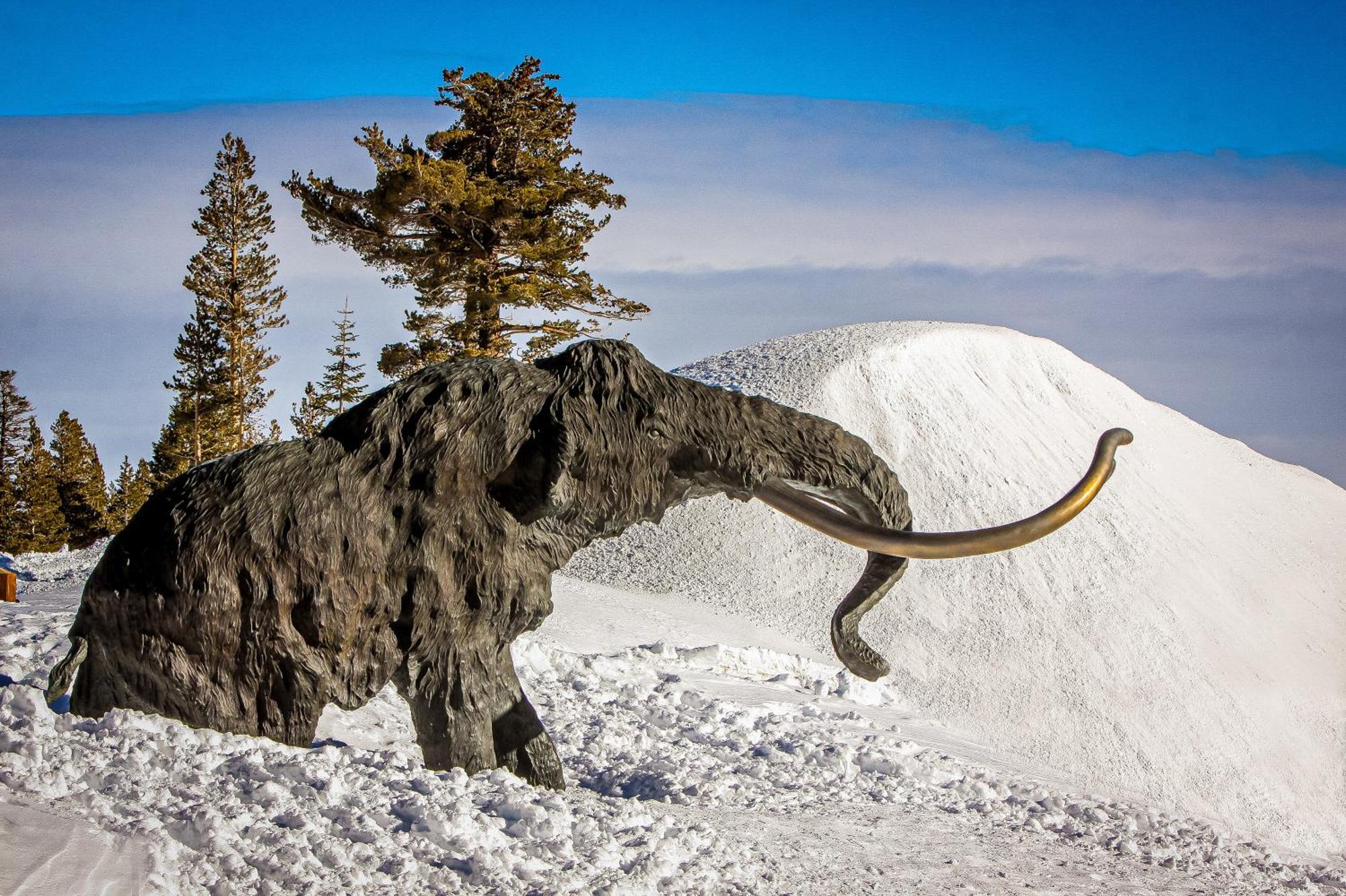 Mammoth Ski & Racquet Club #131 Мамът Лейкс Екстериор снимка